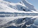 «Ein fantastisches Bergpanorama, Gletscher, einer mit verschiedenen Eisbergen gesäumten Küste und Tiere, Tiere, Tiere...»