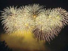 Die Kosten für das Feuerwerk stiegen gegenüber dem Vorjahr um rund 10'000 auf 70'000 Franken.