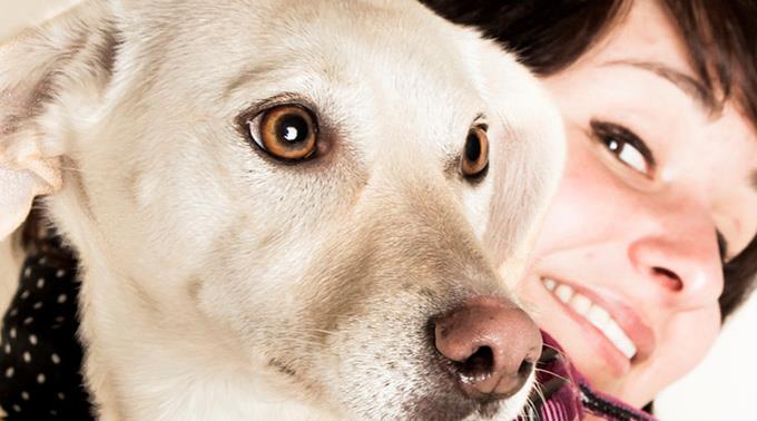 news.ch Gegen Gewalt in der Hundeerziehung Tier im Recht, Tiere